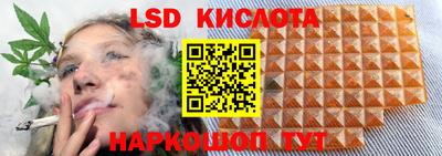 тгк Ставрополь