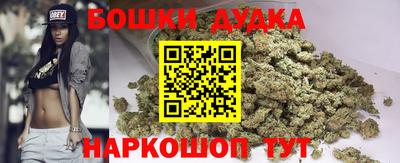 тгк Ставрополь