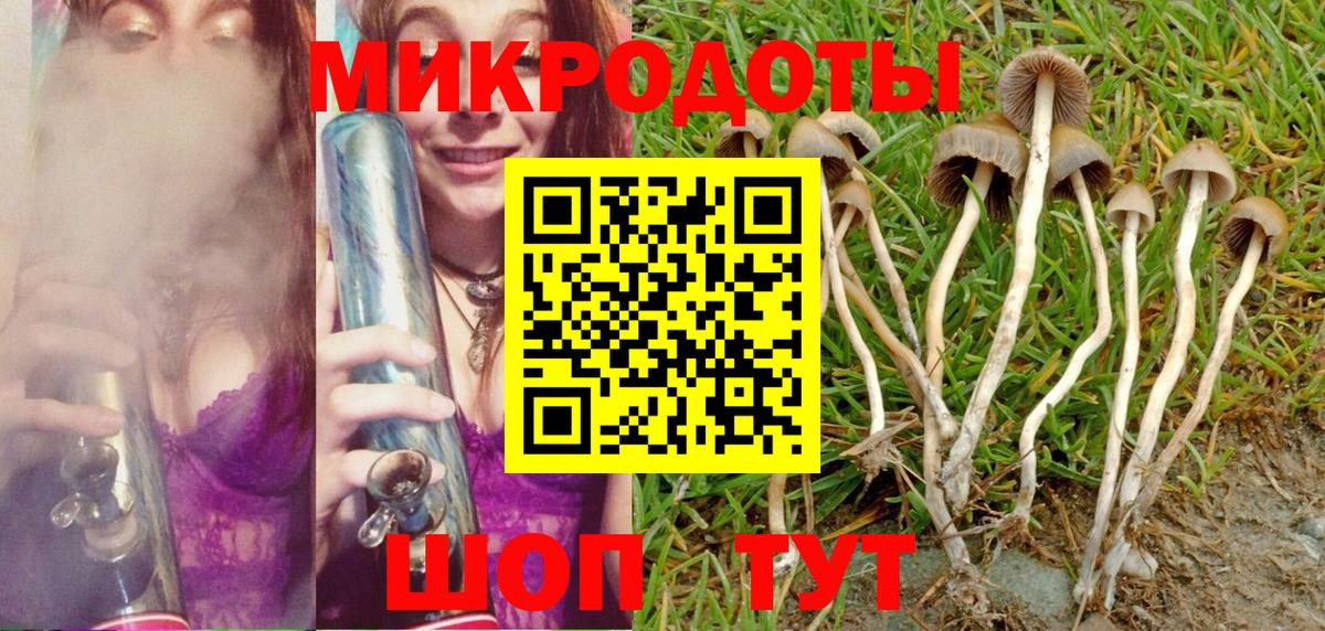 хочу наркоту  Вход с VPN  Осинники  Псилоцибиновые грибы Cubensis 
